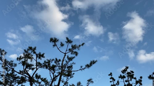 한국,김해,하늘,나무,구름,맑음 photo