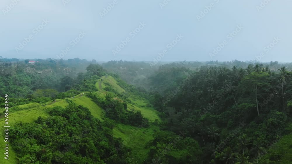 Cinematic drone shot of Campuhan Ridge Walk in Ubud, Bali, Indonesia. Tropical rainforest and rice terraces. Travel vacation. Cinematic drone shot of Campuhan Ridge Walk in Ubud, Bali, Indonesia. Tropical rainforest and rice terraces. Travel vacation.