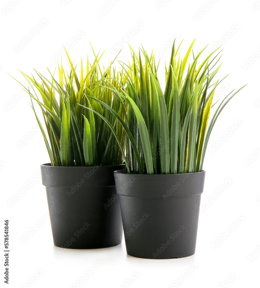 Artificial grass in pots on white background Artificial grass in pots on white background