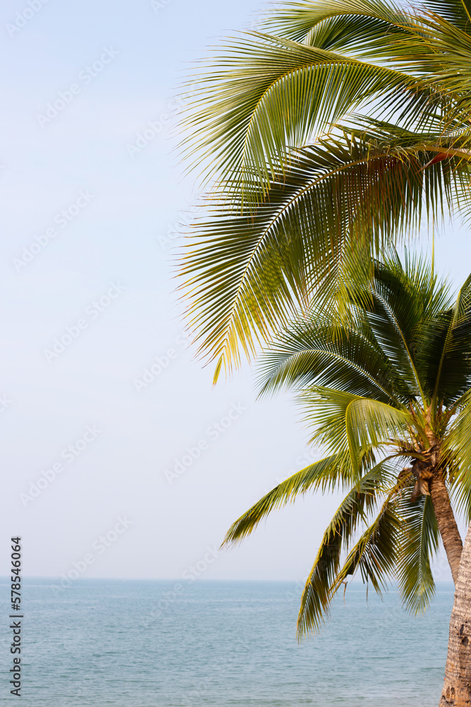 Coconut palm trees with sea and blue sky Coconut palm trees with sea and blue sky