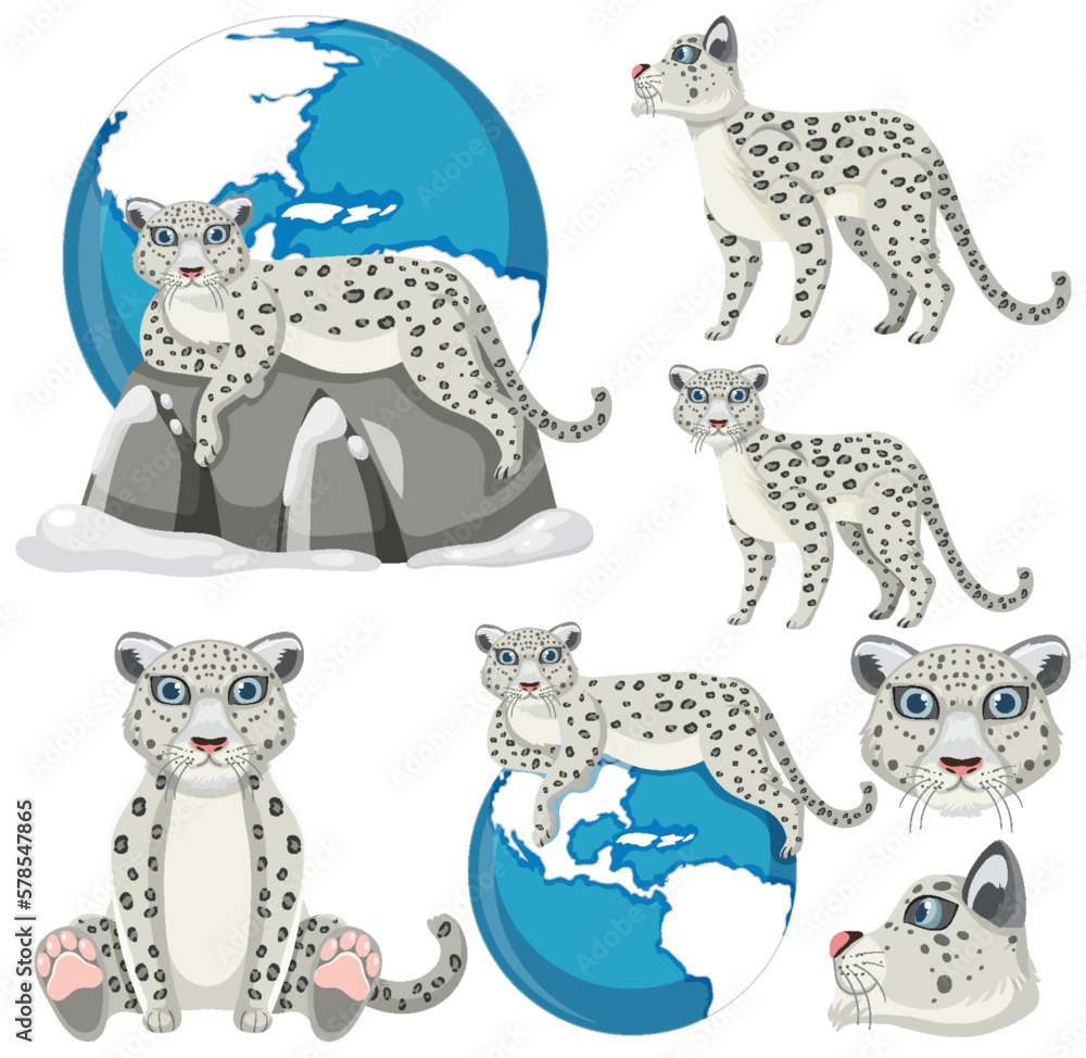 Set of mix snow leopard Set of mix snow leopard