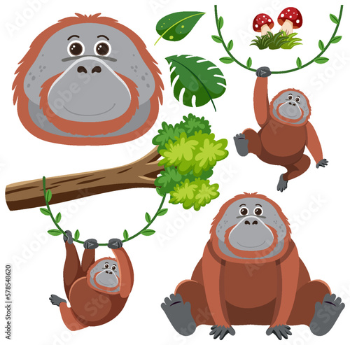 Set of orangutan cartoon character