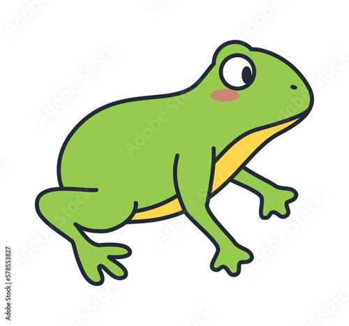 frog amphibian animal character