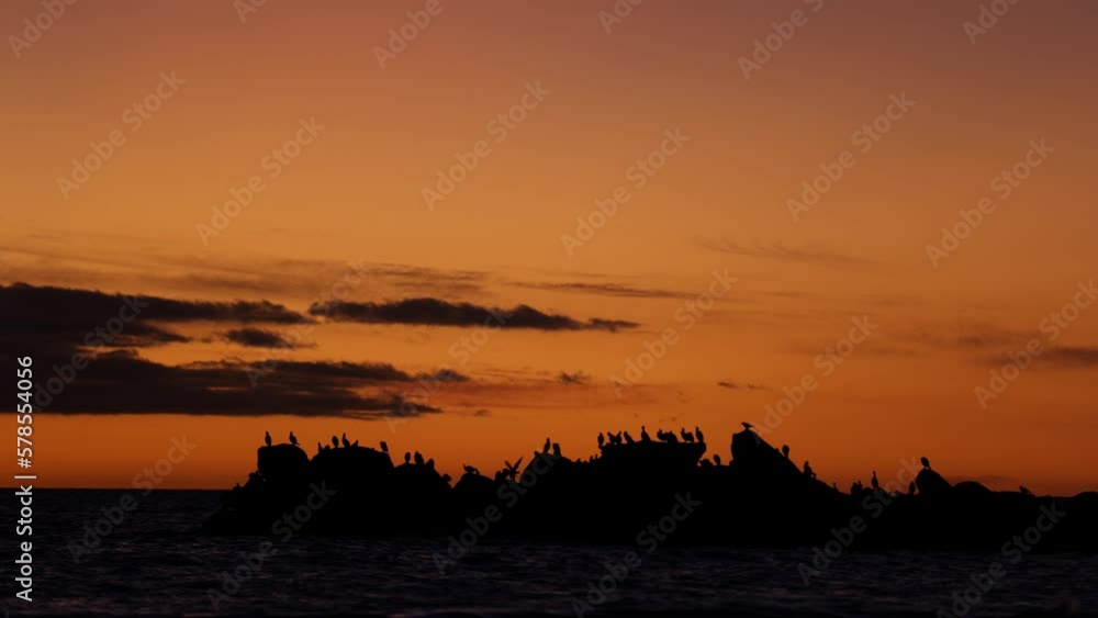 Birds Watching Sunset On Beach Sun Setting With Birds On Ocean