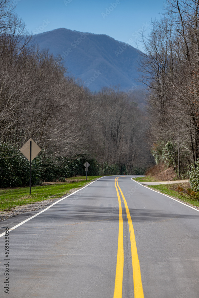 road, highway, mountain, landscape, travel, sky, nature, way, curve, tree, forest, country, drive, driving, street, line, transportation, rural, trees, summer, car, mountain, perspective, empty, horiz road, highway, mountain, landscape, travel, sky, nature, way, curve, tree, forest, country, drive, driving, street, line, transportation, rural, trees, summer, car, mountain, perspective, empty, horiz