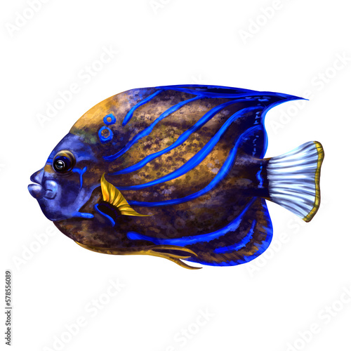 Bright blue angel fish. A tropical underwater animal. Holidays in the tropics, travel, underwater world. For postcards, souvenirs, prints