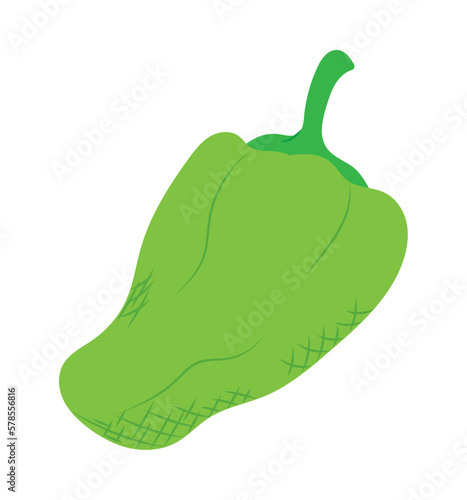 green chilli habanero vegetable