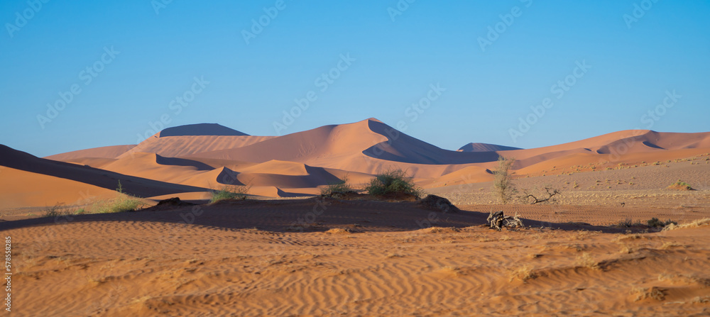 Namib Desert Safari with sand dune in Namibia, South Africa. Natural landscape background at sunset. Famous tourist attraction. Sand in Grand Canyon - obrazy, fototapety, plakaty 