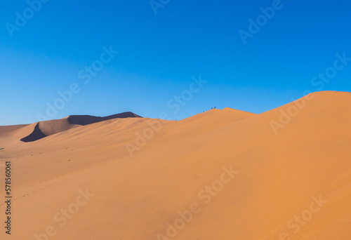 Namib Desert Safari with sand dune in Namibia, South Africa. Natural landscape background at sunset. Famous tourist attraction. Sand in Grand Canyon © tampatra