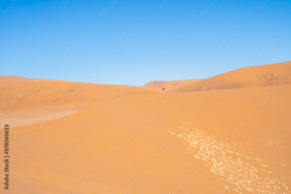 Namib Desert Safari with sand dune in Namibia, South Africa. Natural landscape background at sunset. Famous tourist attraction. Sand in Grand Canyon Namib Desert Safari with sand dune in Namibia, South Africa. Natural landscape background at sunset. Famous tourist attraction. Sand in Grand Canyon