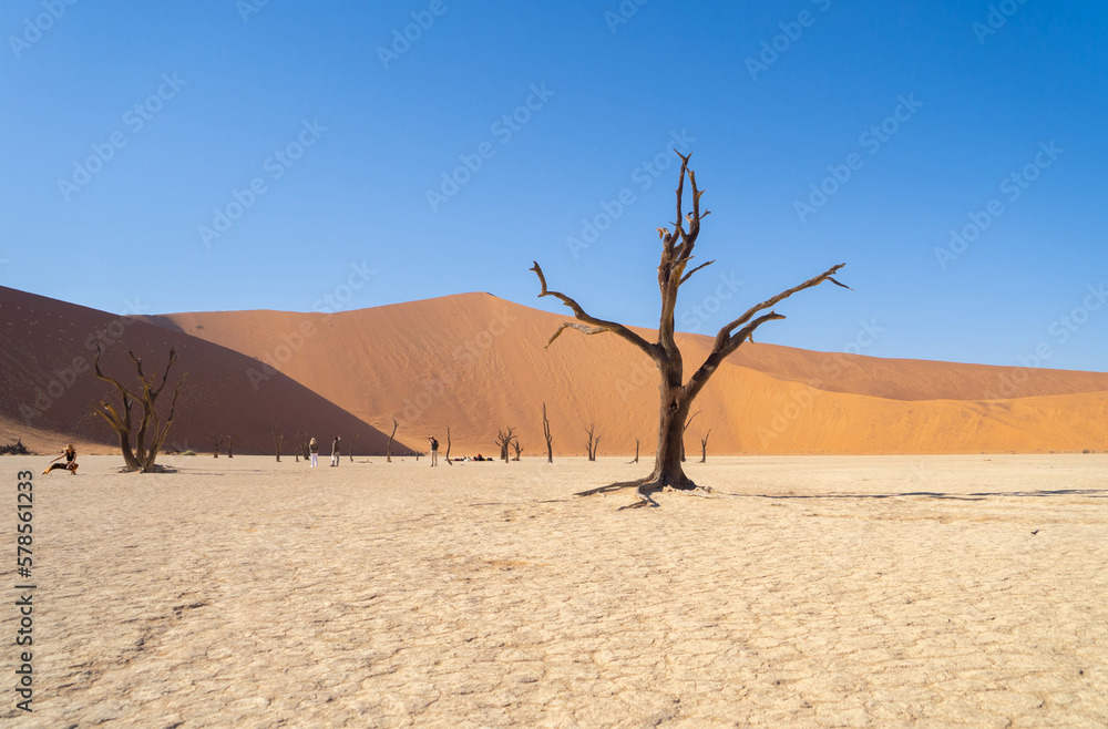 Namib Desert Safari with sand dune in Namibia, South Africa. Natural landscape background at sunset. Famous tourist attraction. Sand in Grand Canyon Namib Desert Safari with sand dune in Namibia, South Africa. Natural landscape background at sunset. Famous tourist attraction. Sand in Grand Canyon