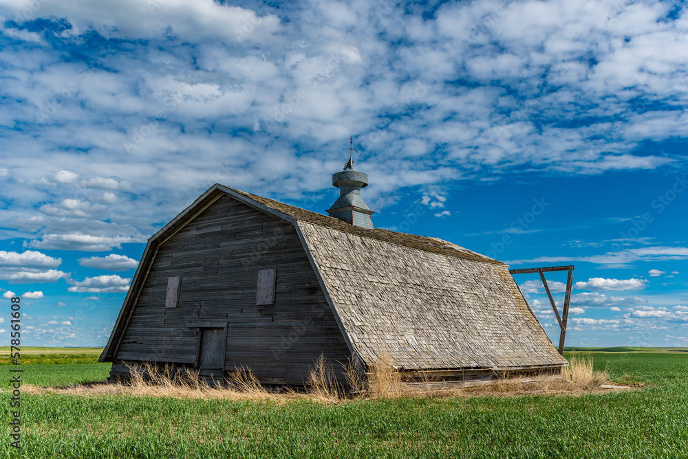 Obraz premium An abandoned barn surrounded by a wheat field on the Canadian prairies in Saskatchewan