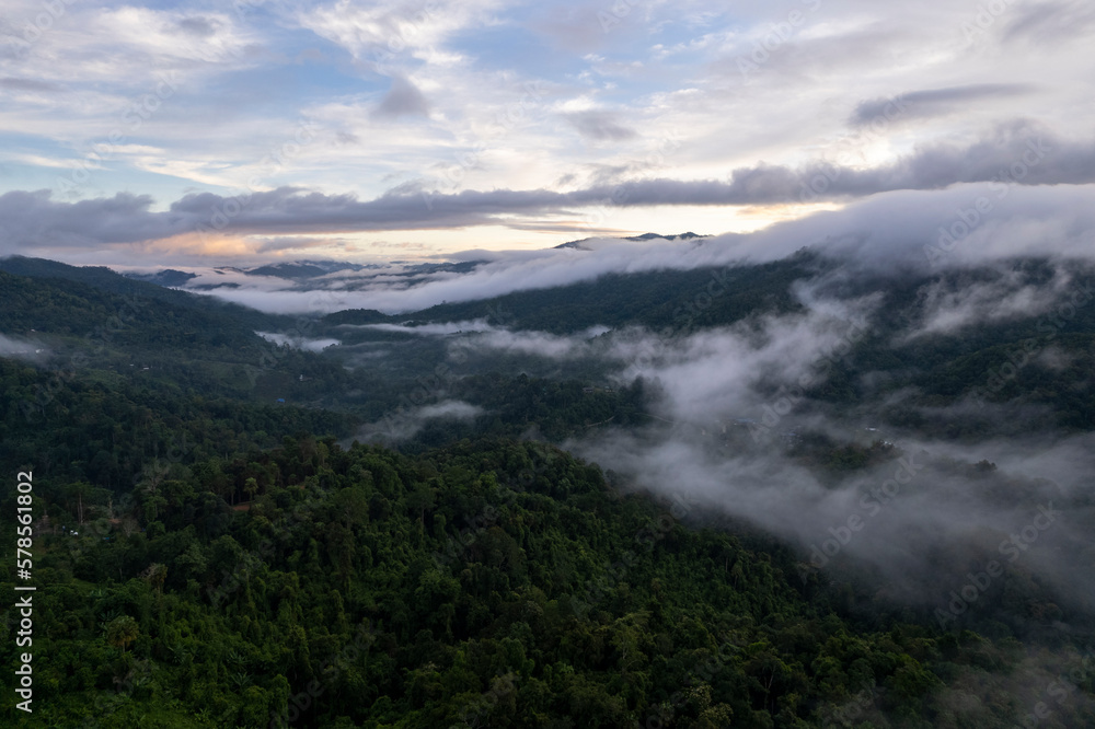 Aerial view of mist, cloud and fog hanging over a lush tropical rainforest after a storm Aerial view of mist, cloud and fog hanging over a lush tropical rainforest after a storm