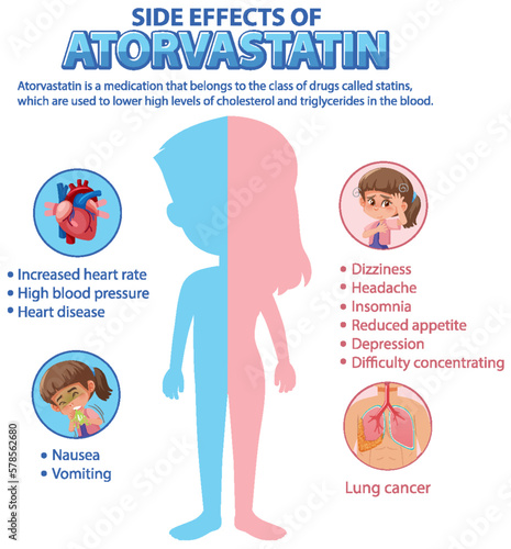 Human anatomy diagram cartoon style of Atorvastatin side effects