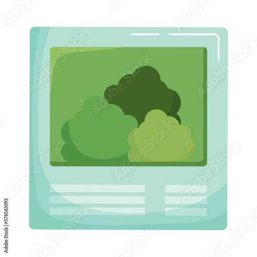 photographic picture of bush