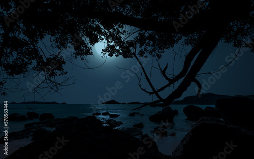 Beautiful calm night at beach with trees, moonlight and rocks