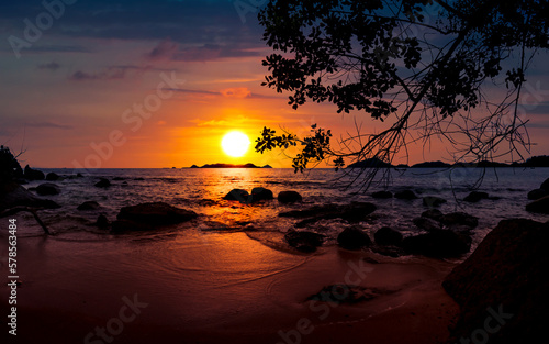 Dramatic sunset at beach with a tree and rocks