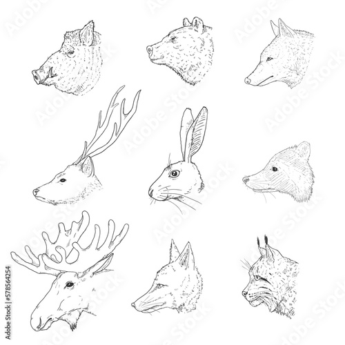 Vector Set of Sketch Forest Animals Heads.