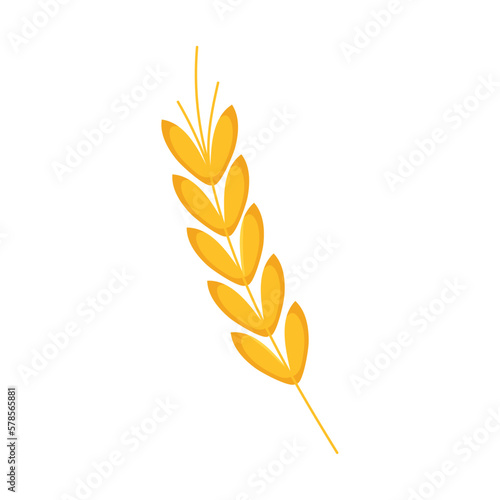 golden wheat spike