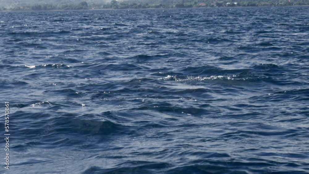 Dolphin family in open water with strong strong current. Blue sea with wonderful animals playing and popping out of waves. Tropical ocean fauna. Playful cute marine mammals. Pod of dolphins in summer Dolphin family in open water with strong strong current. Blue sea with wonderful animals playing and popping out of waves. Tropical ocean fauna. Playful cute marine mammals. Pod of dolphins in summer