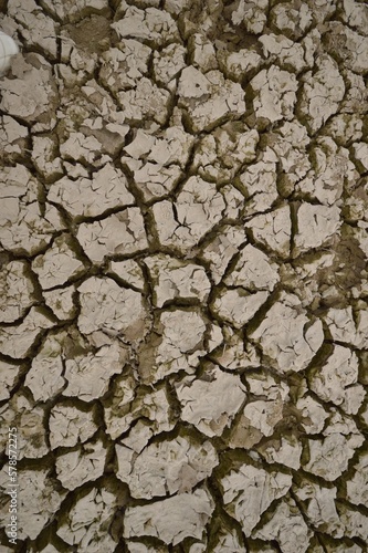 Cracked earth. Dehydrated soil faded in the sun. Texture of desert land. Background for design. 