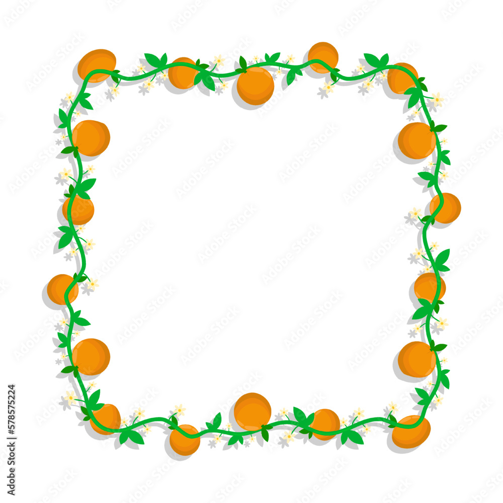 Square frame with mandarin fruit and blossoming orange branches. Weave border isolated on white background. Vector decorative element Square frame with mandarin fruit and blossoming orange branches. Weave border isolated on white background. Vector decorative element