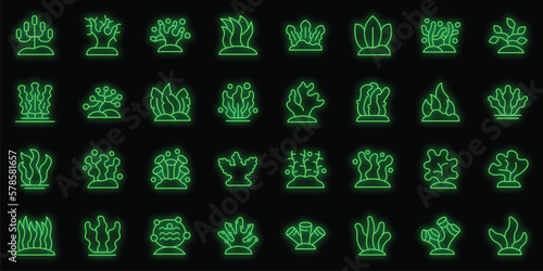 Algae icons set outline vector. Spirulina plant. Sea grass neon color on black