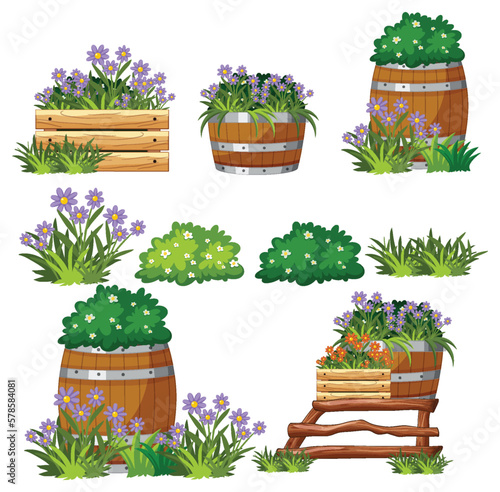 Set of plant and flower