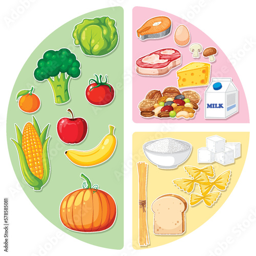 Main food groups macronutrients vector
