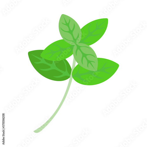 バジル。フラットなベクターイラスト。
Basil. Flat designed vector illustration.