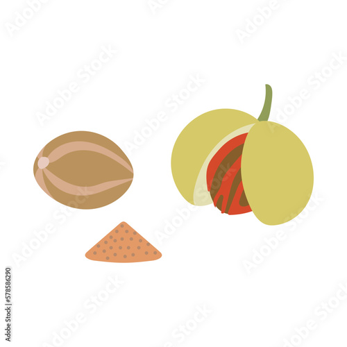 ナツメグ。フラットなベクターイラスト。
Nutmeg. Flat designed vector illustration.