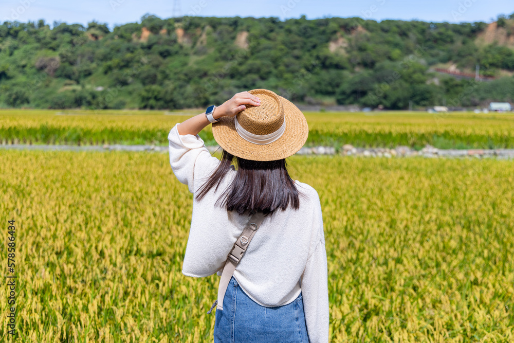 Travel woman visit the rice field in countryside