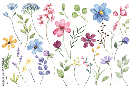 Watercolor blue and pink flowers and green leaves, floral illustration for greeting card, invitation and other printing design. Isolated on white. Hand drawing.