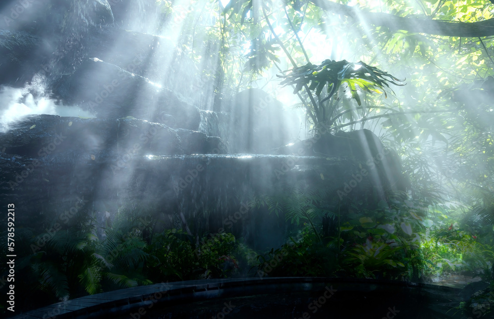 The Tropical jungle with river and sun beam and foggy in the garden. The Tropical jungle with river and sun beam and foggy in the garden.