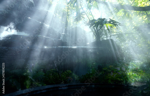 The Tropical jungle with river and sun beam and foggy in the garden.