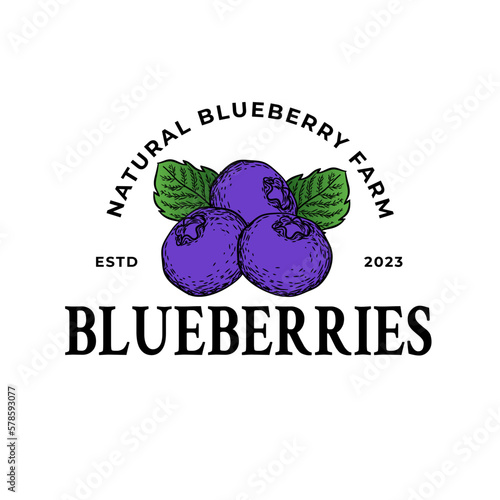 Blueberry logo. Round linear logo of organic blueberry on white background