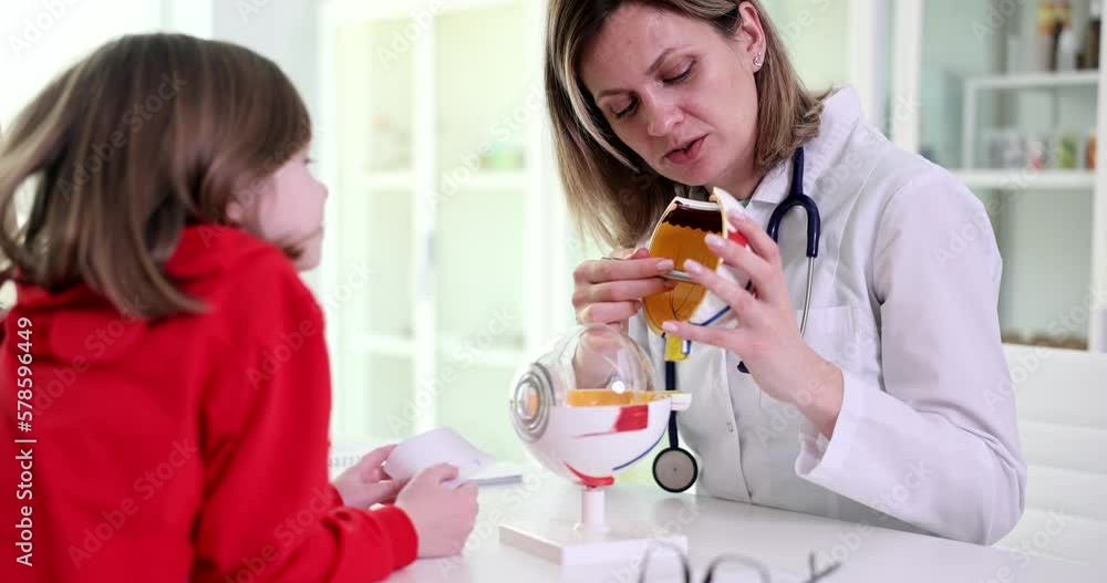 Ophthalmologist shows child anatomy and structure of eye Ophthalmologist shows child anatomy and structure of eye