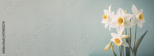 Spring easter background with top view of daffodils bouquet on light blue background with copy space