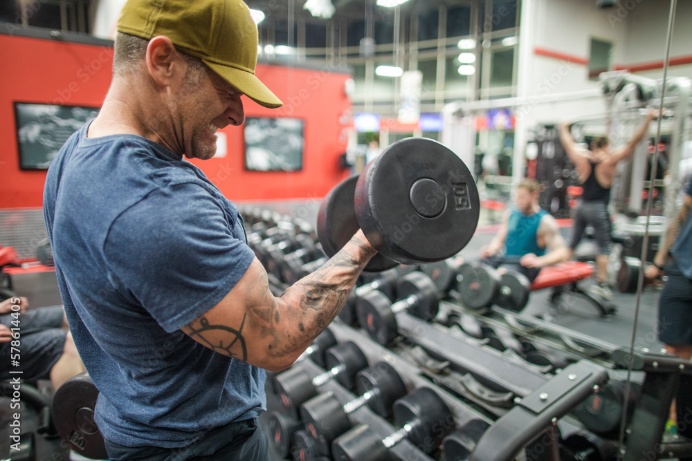 Cropped view of Man training biceps in gym with dumbbells Cropped view of Man training biceps in gym with dumbbells