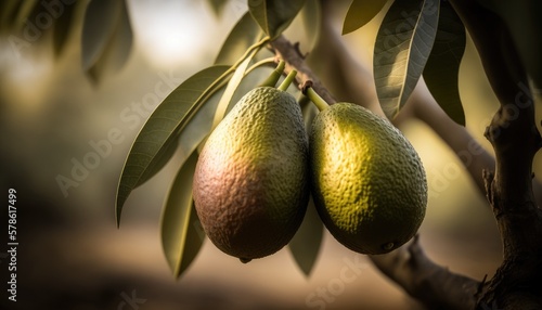 Avocado healthy and ripe growing on a tree in an orchard. Generative AI