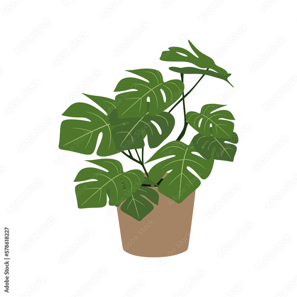 Houseplant Monstera in a pot. Tropical plant for interior decor of home or office. House plant Monstera isolated on white background. Vector illustration
Houseplant Monstera in a pot. Tropical plant for interior decor of home or office. House plant Monstera isolated on white background. Vector illustration