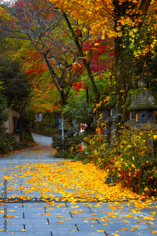 Naklejka premium Fukuoka, Japan - Nov 21 2022: Nanzoin Temple in Fukuoka is home to a huge statue of the Reclining Buddha (Nehanzo) which claims to be the largest bronze statue in the world.
