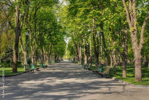 Fototapeta Naklejka Na Ścianę i Meble -  Green alley in the park. Kharkiv, Ukraine, Shevchenko city park