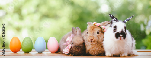 Canvas Print Group of three cute little three brown hare and rabbit sitting with multiple col