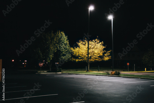 Quadro su tela Empty parking lot lit by street lights.