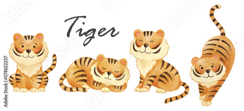 Tiger . Realistic watercolor paint of wildlife animals with paper textured . Cartoon character design . Vector .