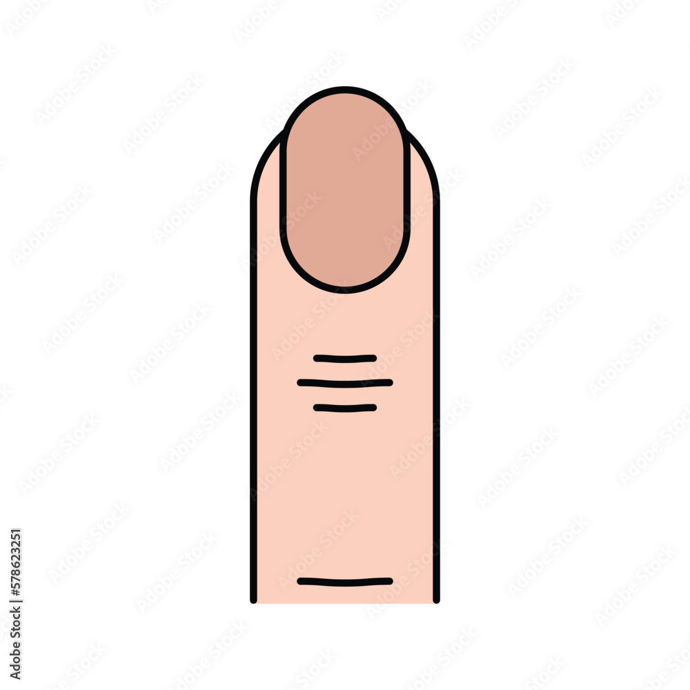 Nail, human finger icon Nail, human finger icon