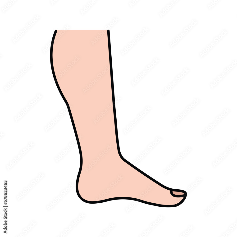 Leg, foot, human leg icon