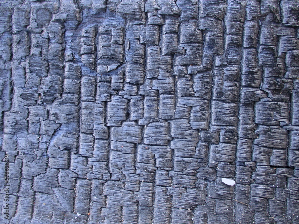Black grunge background. Burned wood texture. Black grunge background. Burned wood texture.