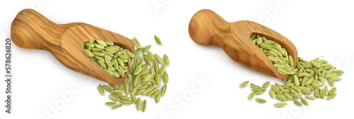 Dried fennel seeds in wooden scoop isolated on white background . Top view. Flat lay photo